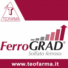 Ferrograd Motilex 2025