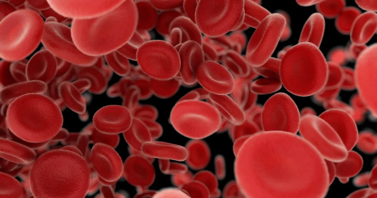 Linee guida Ash 2026 per la diagnosi della carenza di ferro: nuove soglie e strategie c…