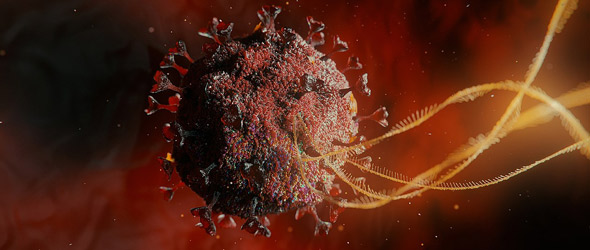 Battezzati “fantasmi del Coronavirus” forse sono loro la causa del long Covid