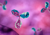 Bimekizumab, anticorpo innovativo contro psoriasi a placche