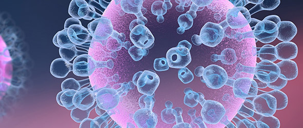 Influenza aviaria: rischio per l'uomo e sistemi di sorveglianza