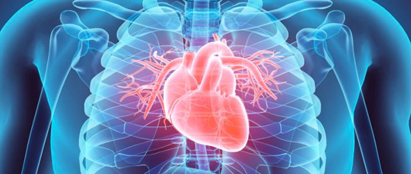 Interessamento cardiaco e dolore toracico, aumentano i riscontri