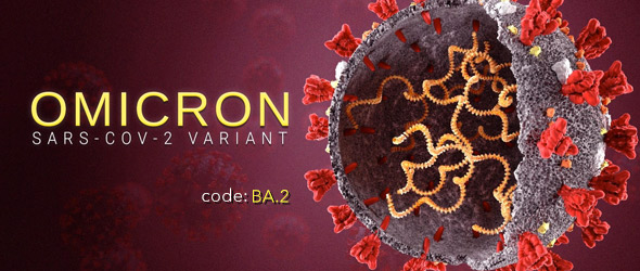 Omicron, una sottovariante sfuggente per una nuova ondata?