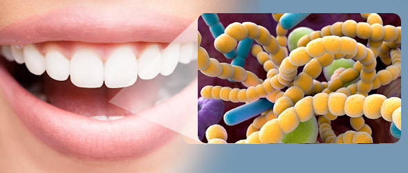 Caratteristiche dei batteri orali e ipertensione arteriosa
