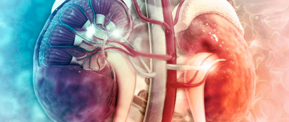 Marcatori legati all’età per progressione della nefropatia diabetica