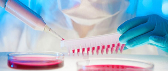 COVID-19: l’approccio ‘test per tutti’ può funzionare?