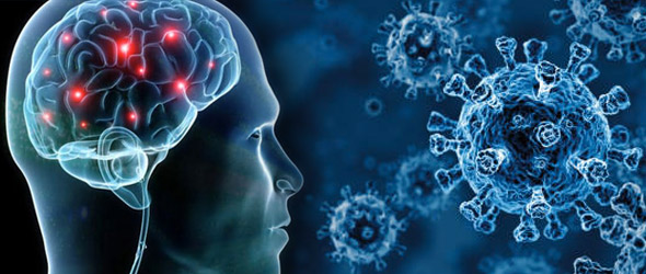 Covid-19 e sistema nervoso: molti i segnali di interessamento neurologico