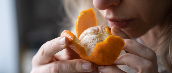 Gusto e olfatto nel diabetico funzionano a scartamento ridotto