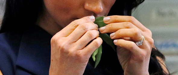 Anosmia da Covid: il recupero si completa in 12 mesi