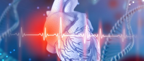 Mutazioni genetiche e cicatrici sul cuore, possibili cause nascoste di morte improvvisa 