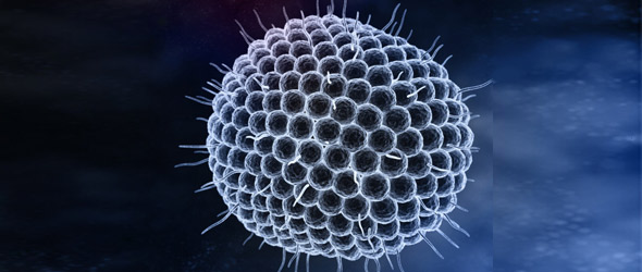 Herpes zoster, questo sconosciuto. In Italia, scarsa percezione del pericolo