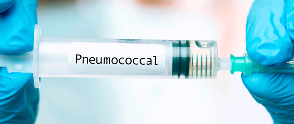 Vaccino pneumococcico progettato per gli adulti