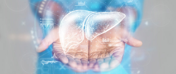 World Liver Day: il decalogo per la prevenzione
