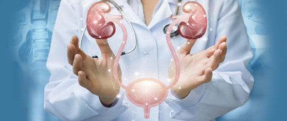 Un vaccino orale per le infezioni delle vie urinarie