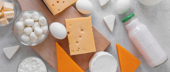 I latticini sono un importante alimento preventivo