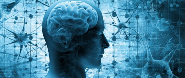 Le placche aterosclerotiche “parlano” al cervello