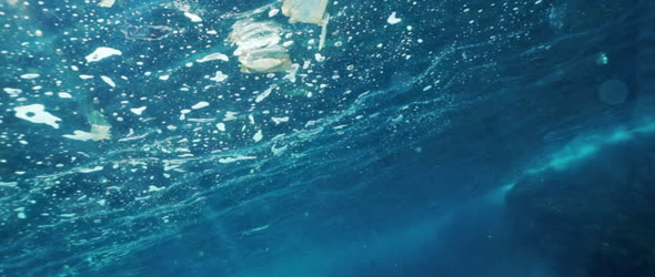 Microplastiche negli oceani e il rischio concreto di carcinogenesi