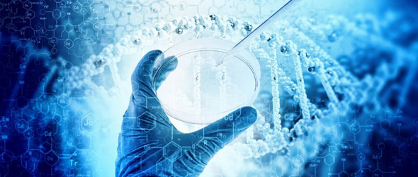 Nuove tecnologie al servizio di una diagnostica non invasiva