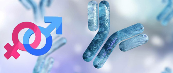 Antibiotici e microbioma, effetti diversi a seconda del sesso