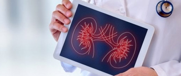 Diabete e perdita di funzionalità renale, identificato fattore responsabile