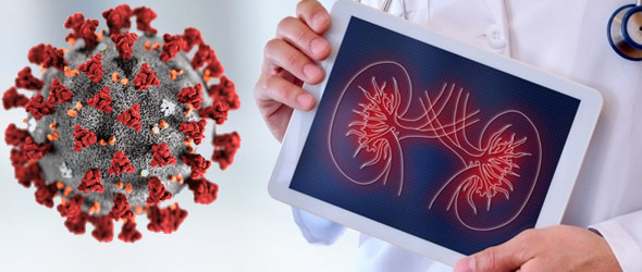 Covid e malattia renale cronica: dati nei pazienti dializzati e trapiantati