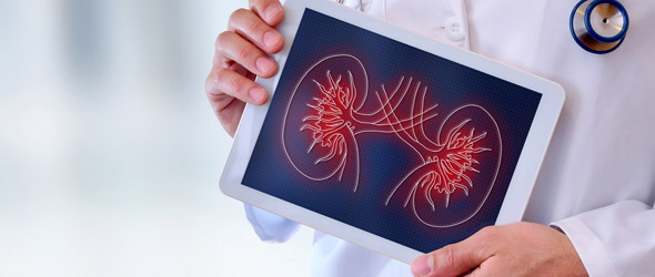 Approccio alla nefropatia con terapia rigenerativa