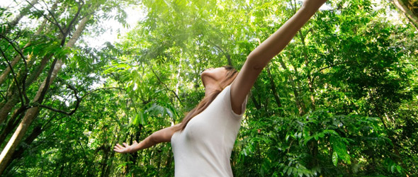 Terapia forestale, una nuova modalità per la riduzione dell'ansia