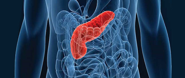 NAFLD: l’ipertrigliceridemia aggrava e complica la pancreatite