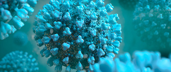  Sviluppo di nuove terapie contro SARS-CoV-2 e progettazione di nuovi candidati vaccinali