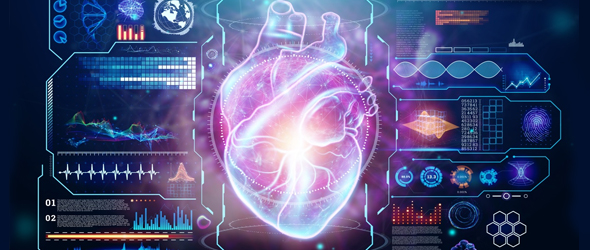 L’IA supporta studio e diagnosi della funzione cardiaca