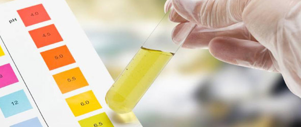  Esame delle urine potrebbe prevenire biopsie prostatiche non necessarie