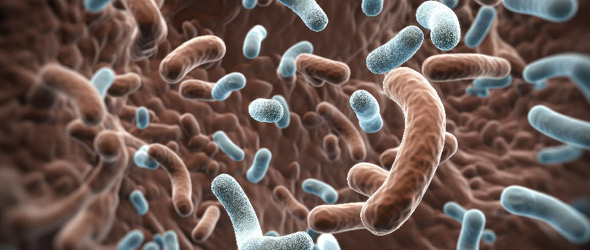 Microbiota rivela quale sarà la risposta alla terapia del melanoma