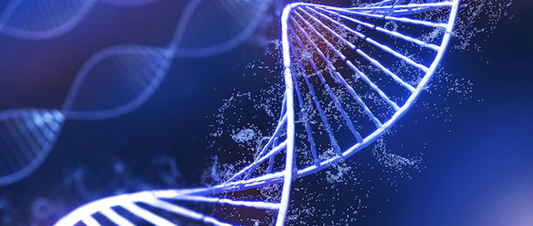 Dall’epigenetica nuove prospettive per capire la depressione