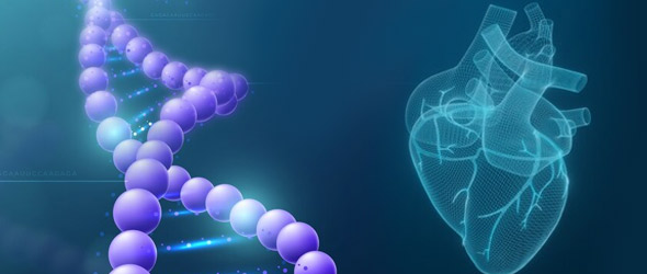 Malattie cardiache rare: avranno un trattamento efficace