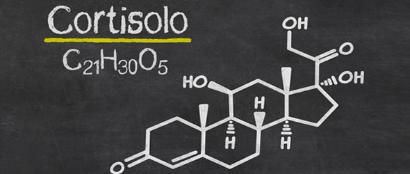 Cortisolo, menopausa e Alzheimer, un sottile legame da esplorare