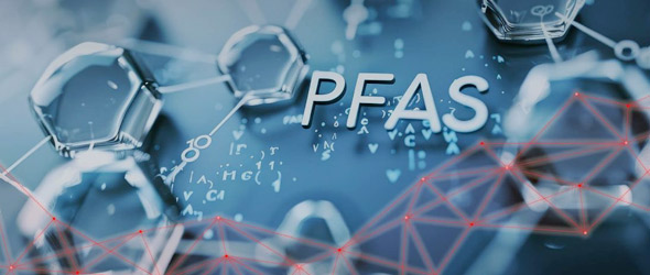 Esposizione prenatale a Pfas e rischio CV in età adulta