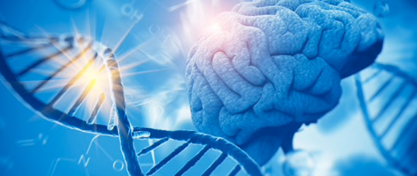 La patologia ansiosa sarebbe scritta nel Dna