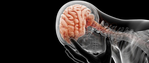 Combattere la depressione, un altro compito per il sistema immunitario