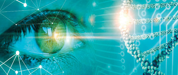 Il microbiota, una possibile “spia” di patologie oculari?