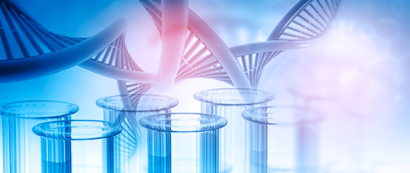 SMA: la terapia genica come farmaco innovativo