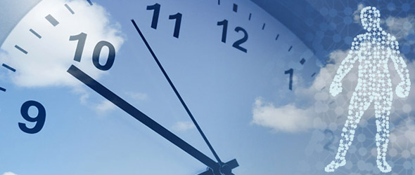 Il sistema immunitario si attiva in base all'ora del giorno