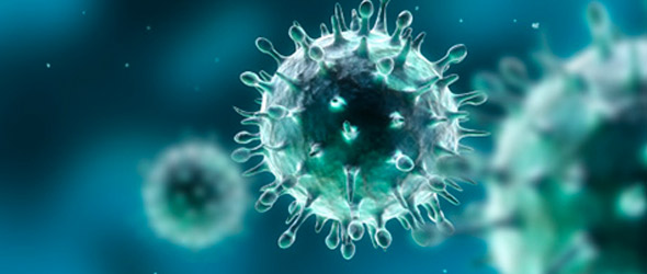Con la pandemia sono scomparsi alcuni ceppi dell’influenza?
