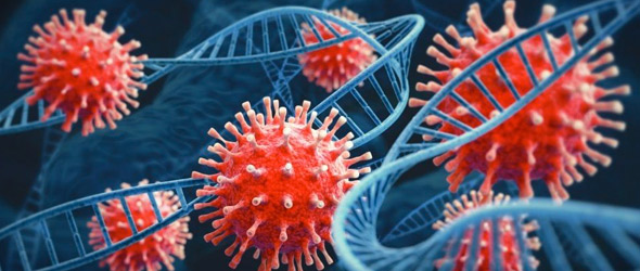 Cosa ci può riservare in futuro il SARS-CoV-2?