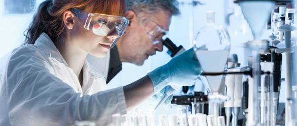Mieloma multiplo: una sequenza di Rna blocca la comunicazione tra cellule tumorali e midollo osseo