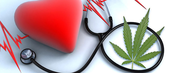 La cannabis terapeutica apre a disturbi del ritmo cardiaco