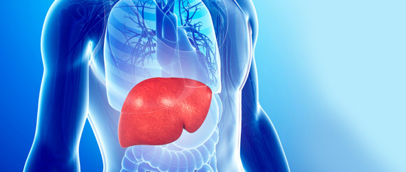 Nuovi orizzonti nella terapia della steatosi epatica