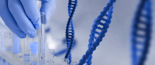 Mastocitosi sistemica, medicina di precisione e farmaci selettivi