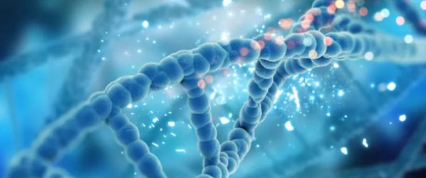 Test genomici risparmiano risorse e vite: appello per i nuovi Lea