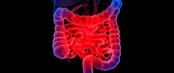 Un Consensus Paper per rafforzare l'alleanza terapeutica nelle Mici