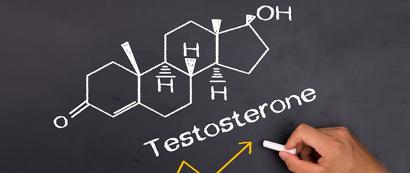 Andropausa: cresce l’interesse per la caduta del testosterone